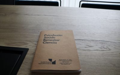 PARTICIPACIÓNS DO COPG EN REUNIÓNS E EVENTOS PROFESIONAIS (ABRIL 2024)