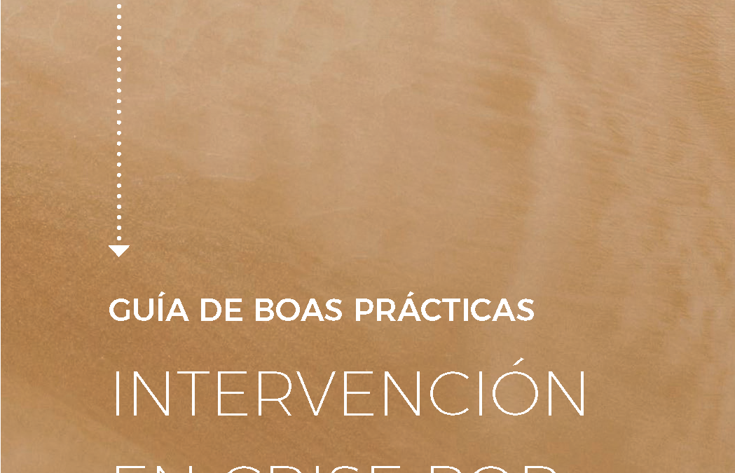 O COPG presenta unha guía de boas prácticas para a intervención en crise por feminicidio