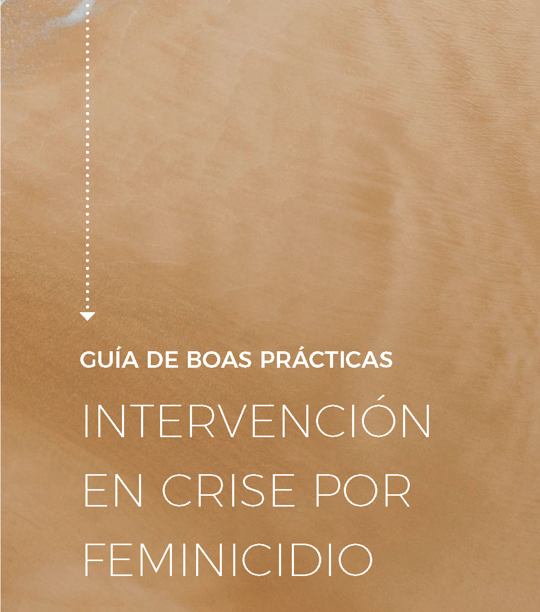 Guía de boas prácticas en intervención en crise por feminicidio